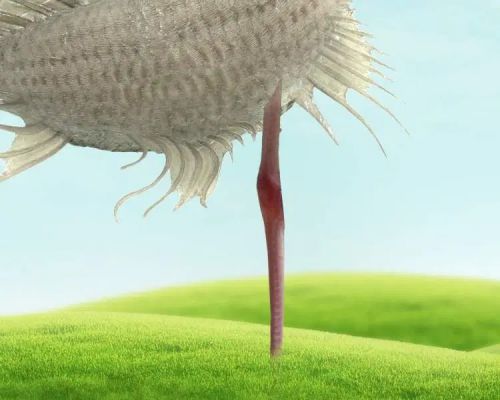 آموزش طراحی موجود خیالی در فتوشاپ